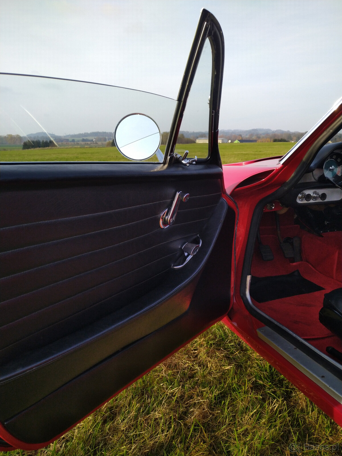 Volvo 1800 - 12