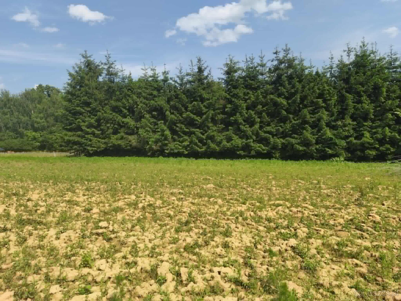 Działka budowlana w miejscowości Siedliska - 12