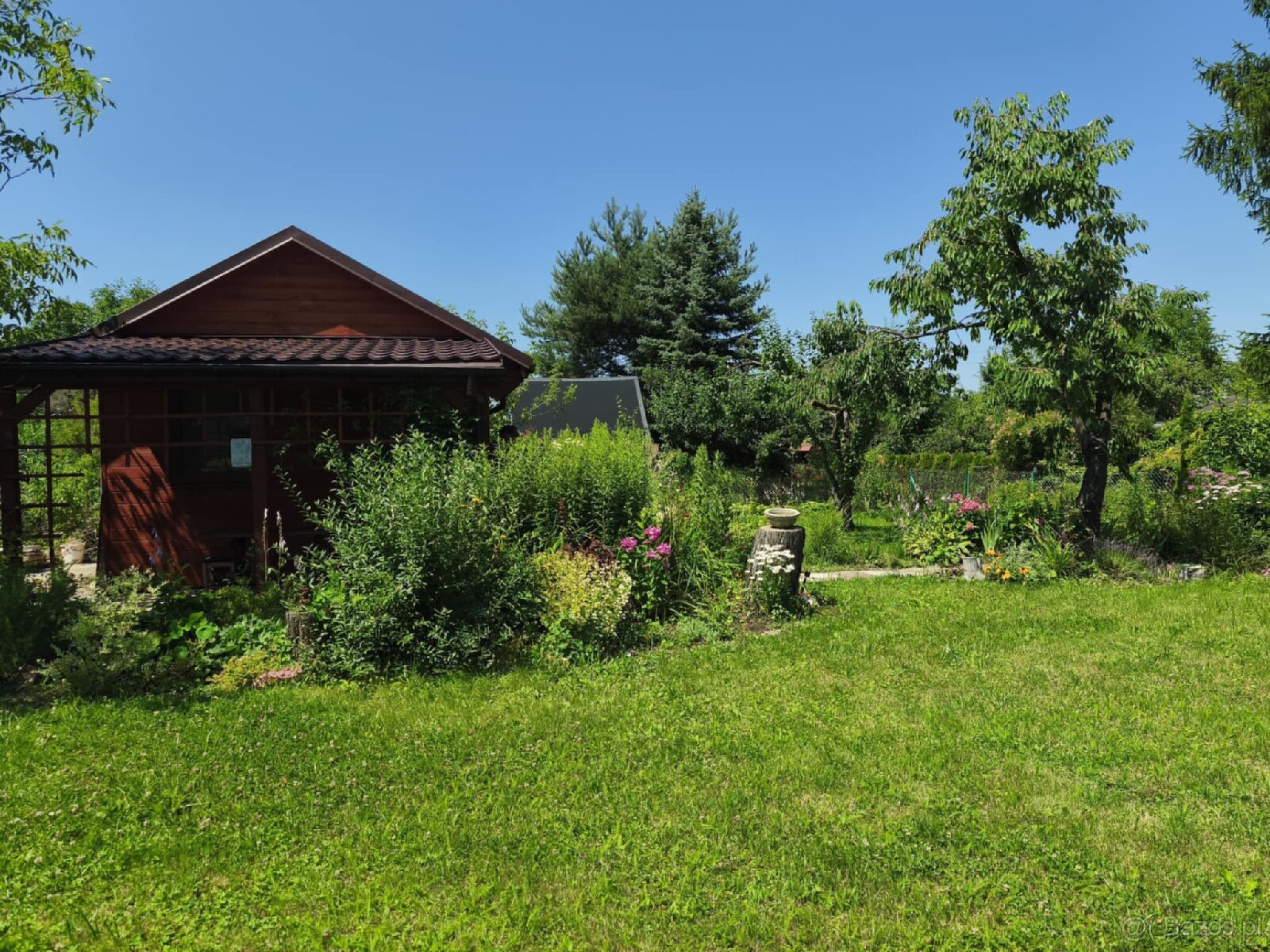 Urokliwa działka ROD "Kopernik" - 12