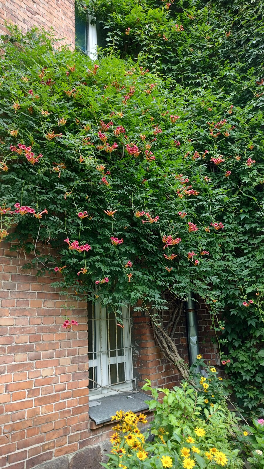 Klimatyczne mieszkanie 66,5m2 - 12