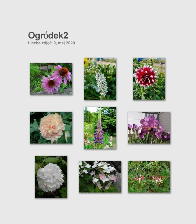 Dom wśród zieleni przy lesie - 12