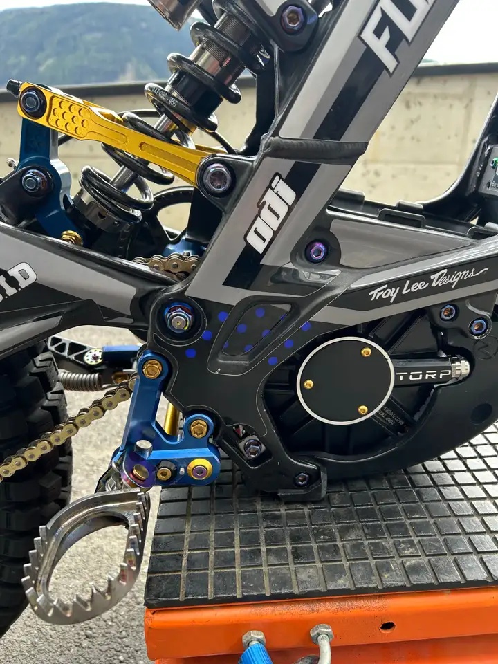 2025 Sur-Ron LBX - 12
