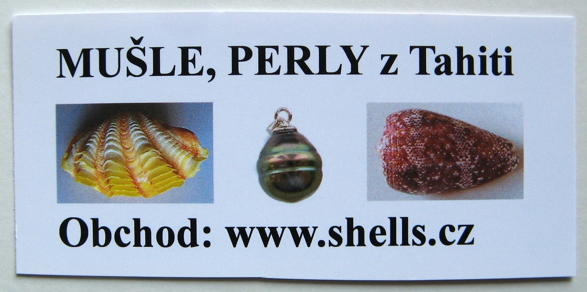 Muszle dla kolekcjonerów i czarne perły z Tahiti - 12