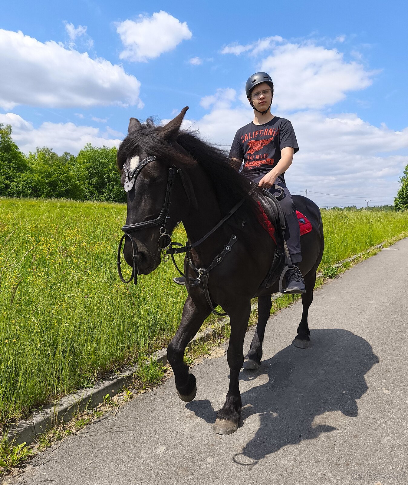 Oferuję piękną klacz. - 12