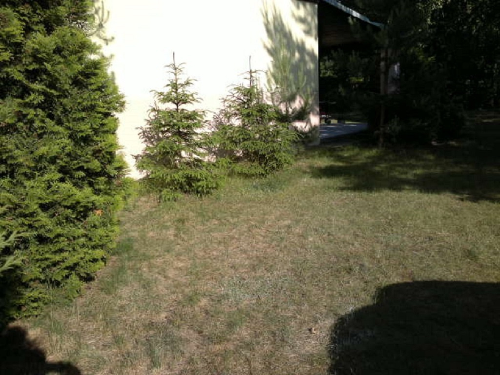 SEZON--2025-Samodzielny dom z ogrodzoną działką nad jeziorem - 12