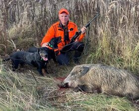 Reproduktory rasy GOŃCZY POLSKI użytkowe zapraszają suczki - 12