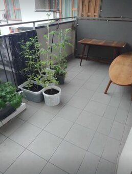 Wynajmę miesz. w apart. Siewna 30 2100 zł - 12