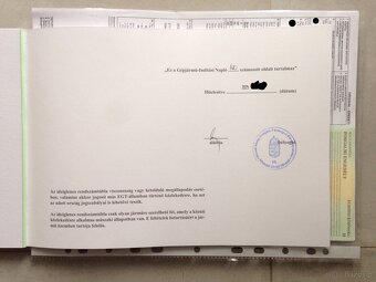 TABLICE REJESTRACYJNE TRANSPORTOWE PROFESJONALNE EU 2025 - 12