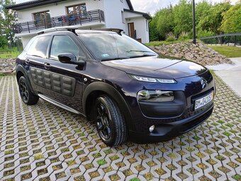 C 4 cactus - 12
