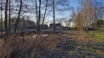 Gospodarstwo rolne 8800m2. dla każdego. Gmina Szadek. - 12