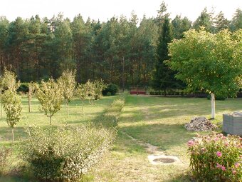 Wynajmę domek na Jurze Krakowsko Częstochowskiej - 12