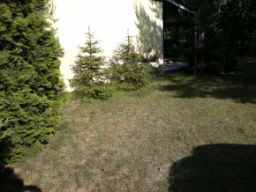 SEZON--2025-Samodzielny dom z ogrodzoną działką nad jeziorem - 12