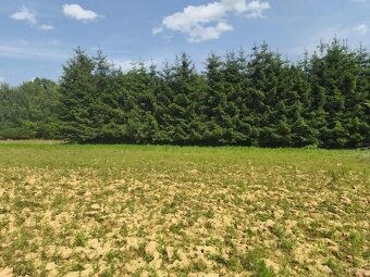 Działka budowlana w miejscowości Siedliska - 12