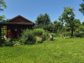 Urokliwa działka ROD "Kopernik" - 12