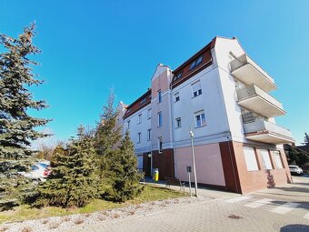 Mieszkanie o pow. 96m2, dwa balkony,Braci Niemojowskich - 12