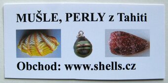 Muszle dla kolekcjonerów i czarne perły z Tahiti - 12