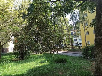3 pokoje w cenie kawalerki - ul. Sienkiewicza - 12