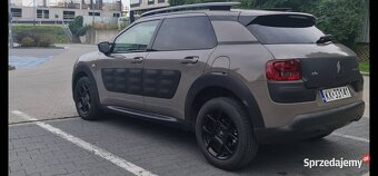 Cactus Sprawdz go w  warsztacie na godziny tel. 519 853 348 - 12