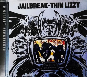⭐Polecam Znakomity Kultowy Album CD GUNS N ROSES- Use Your - 12