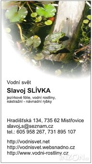 rošliny wodne - 12
