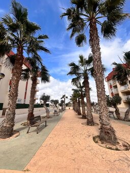 MIESZKANIE W ORIHUELA COSTA – NOWA BUDOWA - 12