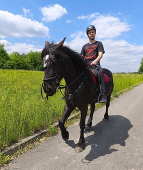 Oferuję piękną klacz. - 12