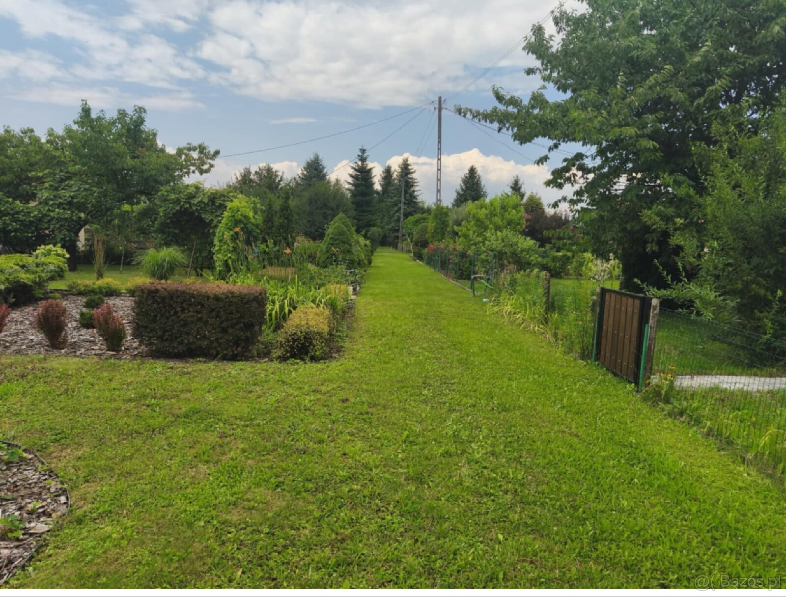 ROD "Słonecznik" Tarnów ul. Ostrogskich - 13