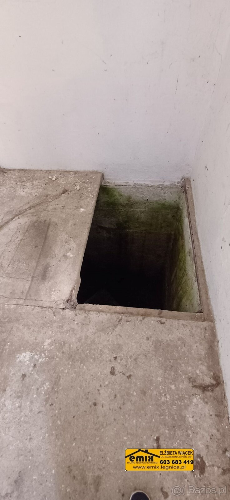 Dom z działką w Wojciechowie k. Chojnowa, możliwa rozbudowa - 13