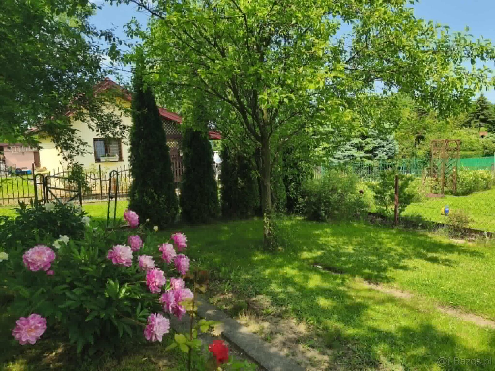 ROD "Strumyk" Tarnów - 13