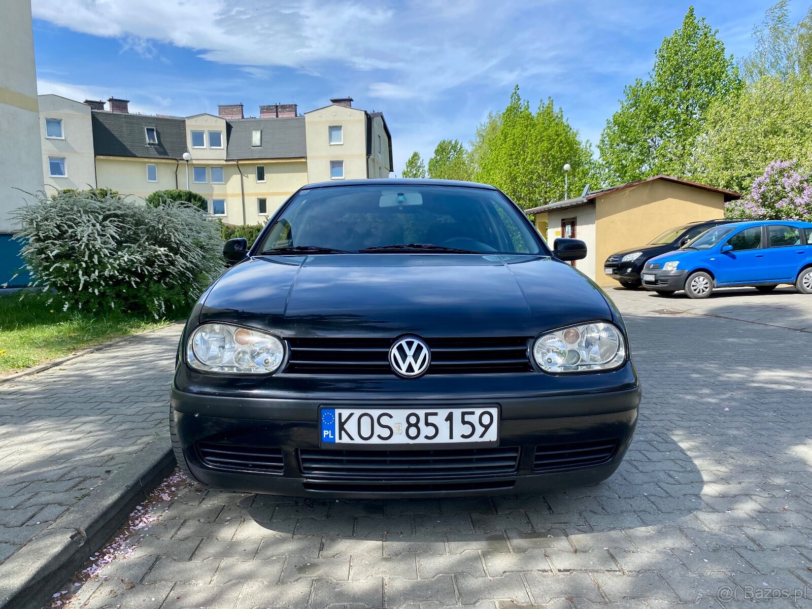 Golf4 - 13