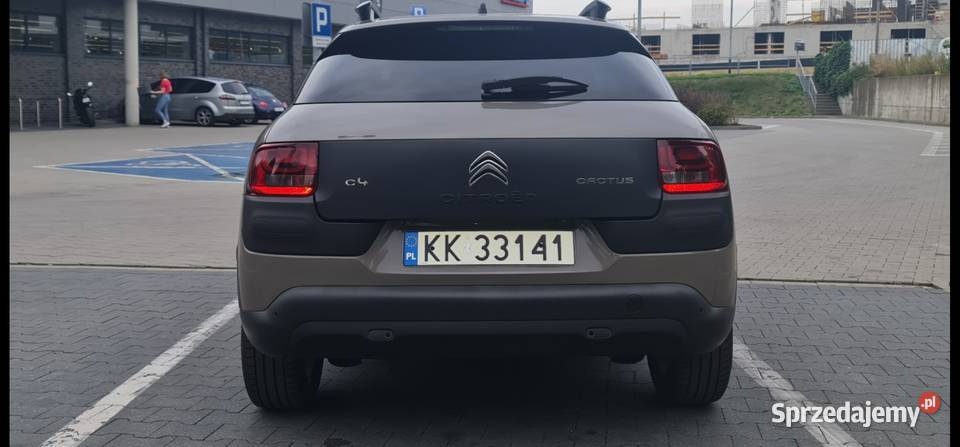 Cactus Sprawdz go w warsztacie na godziny tel. 519 853 348 - 13