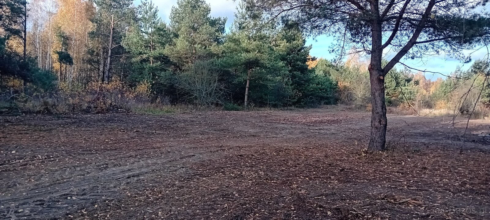 Atrakcyjna działka z dostępem do mediów (światłowód) w drodz - 13