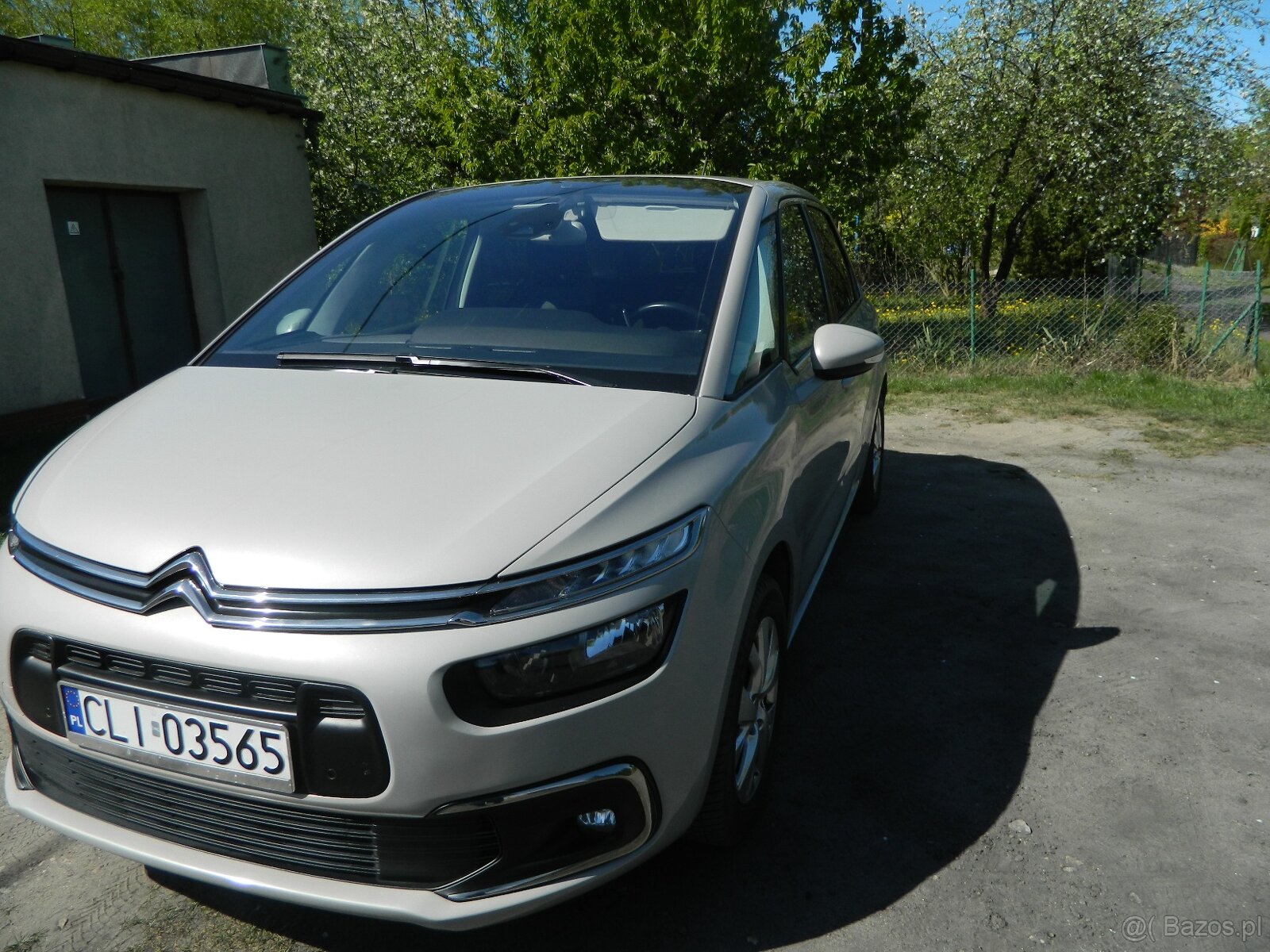 c4 picaso - 13