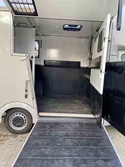 Renault Master – Transporter koni 1–2 konie | 2024 - 13