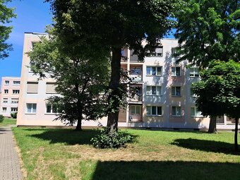 2 pokojowe mieszkanie, parter, po remoncie, os. Kaliniec - 13