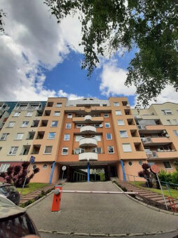 Mam do wynajęcia w centrum Poznania mieszkanie 2 pokojowe - 13