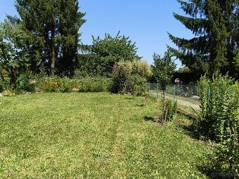 Urokliwa działka ROD "Kopernik" - 13
