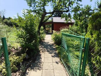 Urokliwa działka ROD "Kopernik" - 13