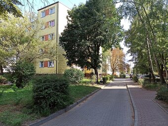 3 pokoje w cenie kawalerki - ul. Sienkiewicza - 13