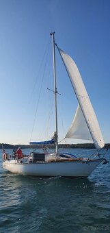 Námořní kýlová plachetnice Scorpius T 30 ft - 13