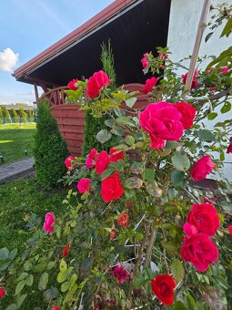 Działka Rod nad jeziorem - 13