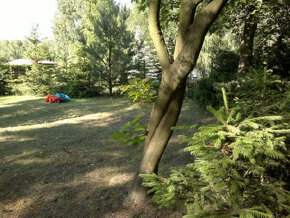 SEZON--2025-Samodzielny dom z ogrodzoną działką nad jeziorem - 13