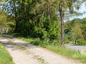 Działka budowlana - Janowice, powiat tarnowski, gm. Pleśna - 13