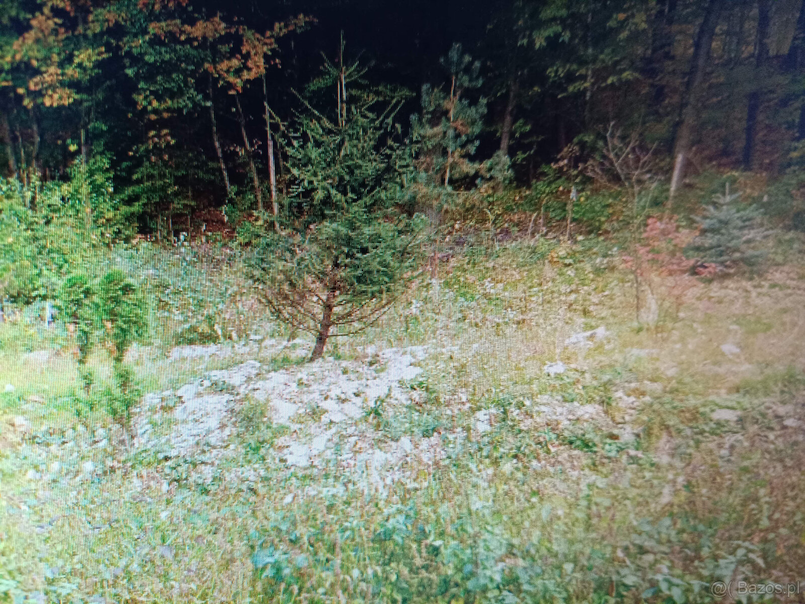 Sprzedam działkę budowlaną w Zagórniku koło Andrychowa - 14