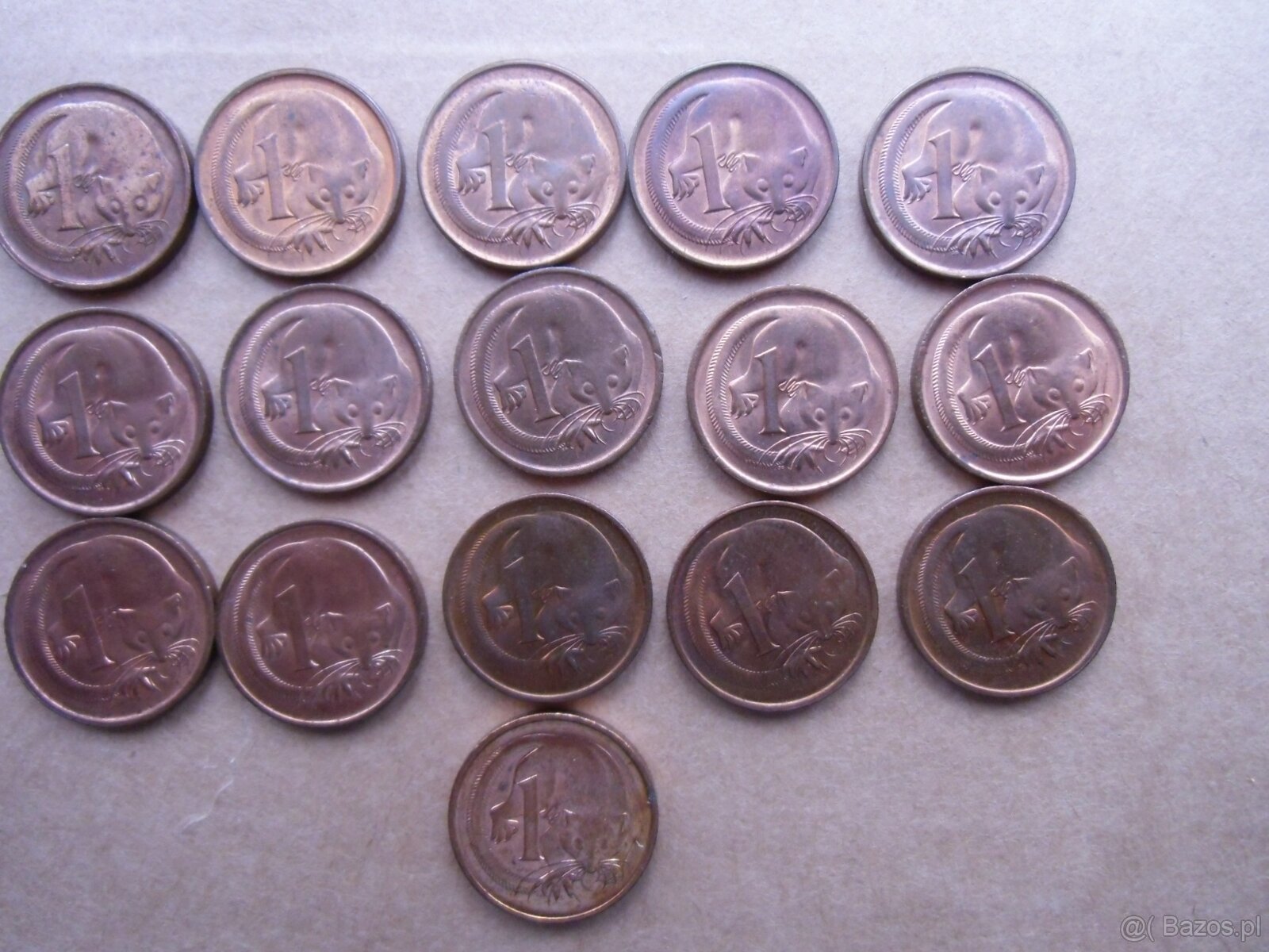 139 monet z Australii - 14