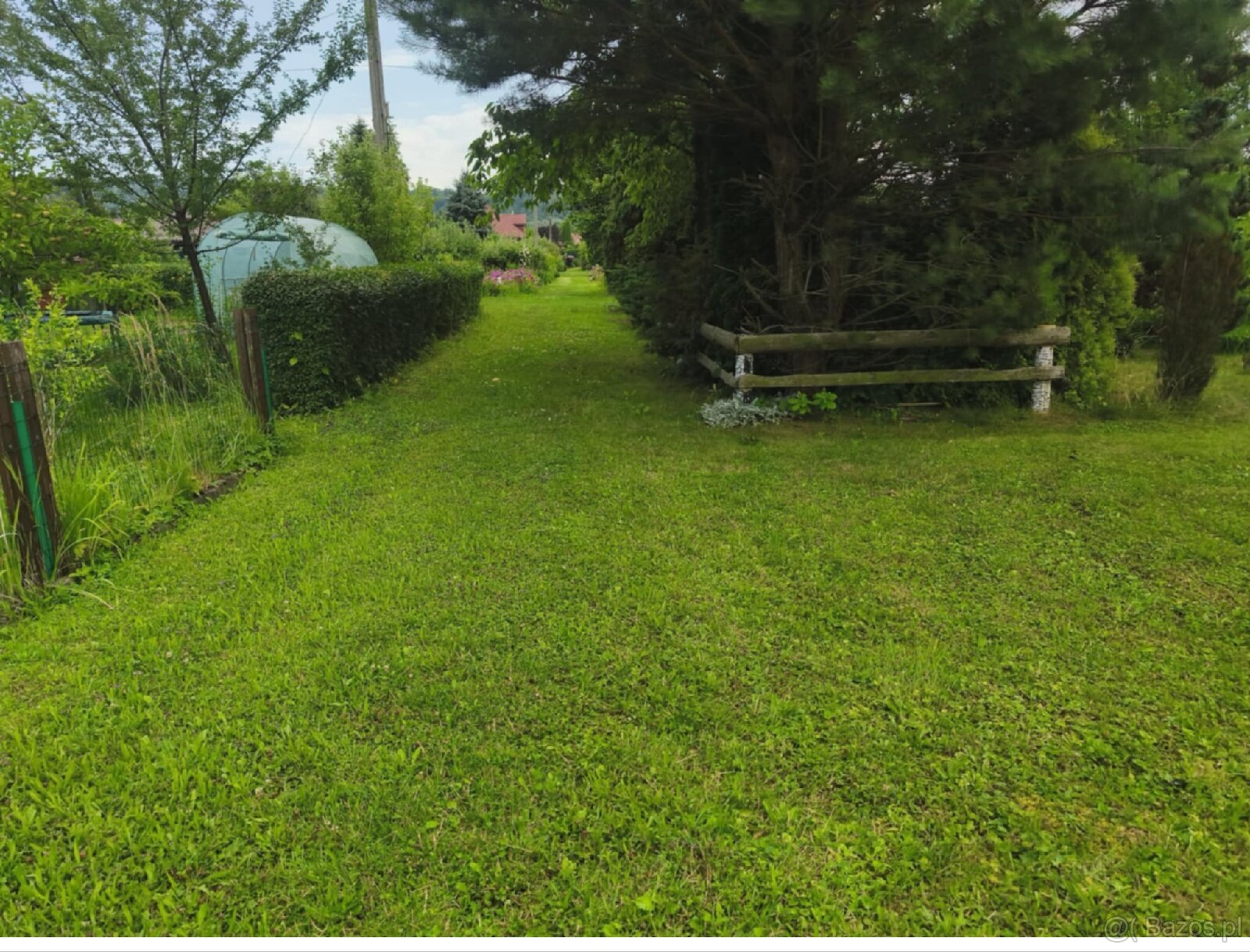 ROD "Słonecznik" Tarnów ul. Ostrogskich - 14