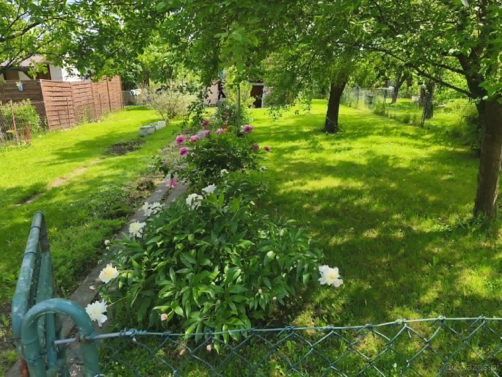 ROD "Strumyk" Tarnów - 14