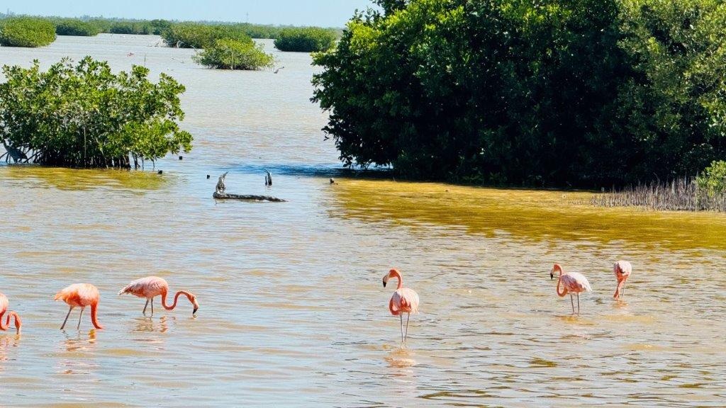 Villa Angela, 240m2, Yucatan, 161.000 Euro - 14