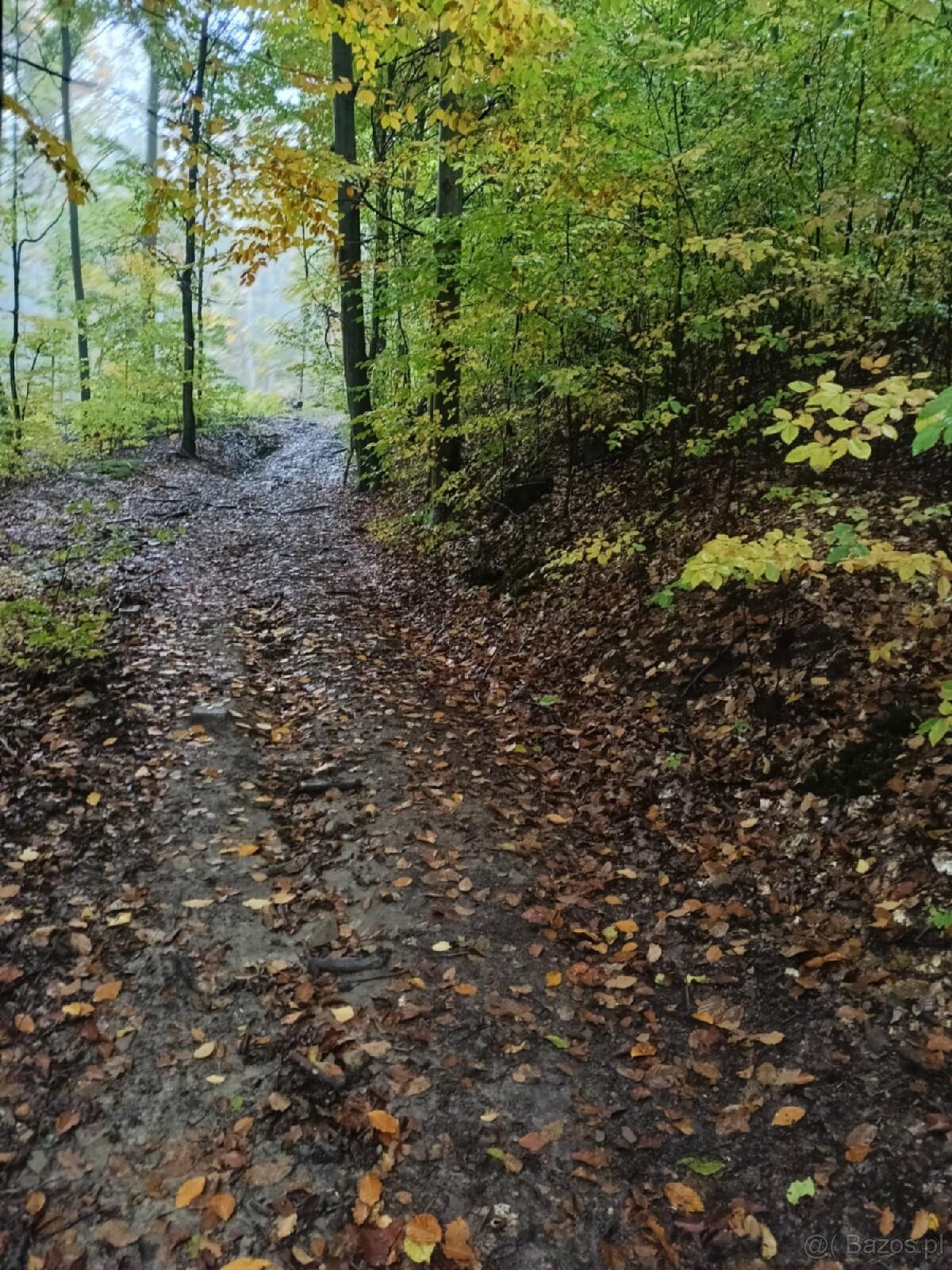 Lipnica Dolna - 7 hektarów 33 ary - 14