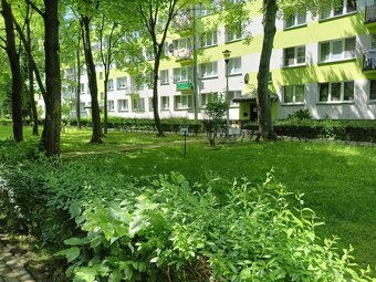 Dwupokojowe mieszkanie- ulica Krogulskiego, Tarnów - 14